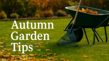 Top 5 Tips for Keeping Your Garden Healthy This Autumn