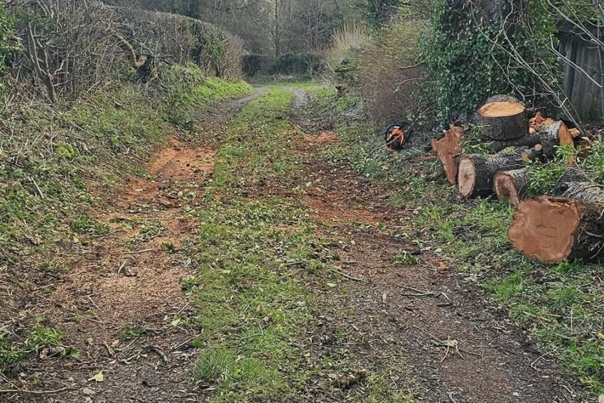 Planting & Removal