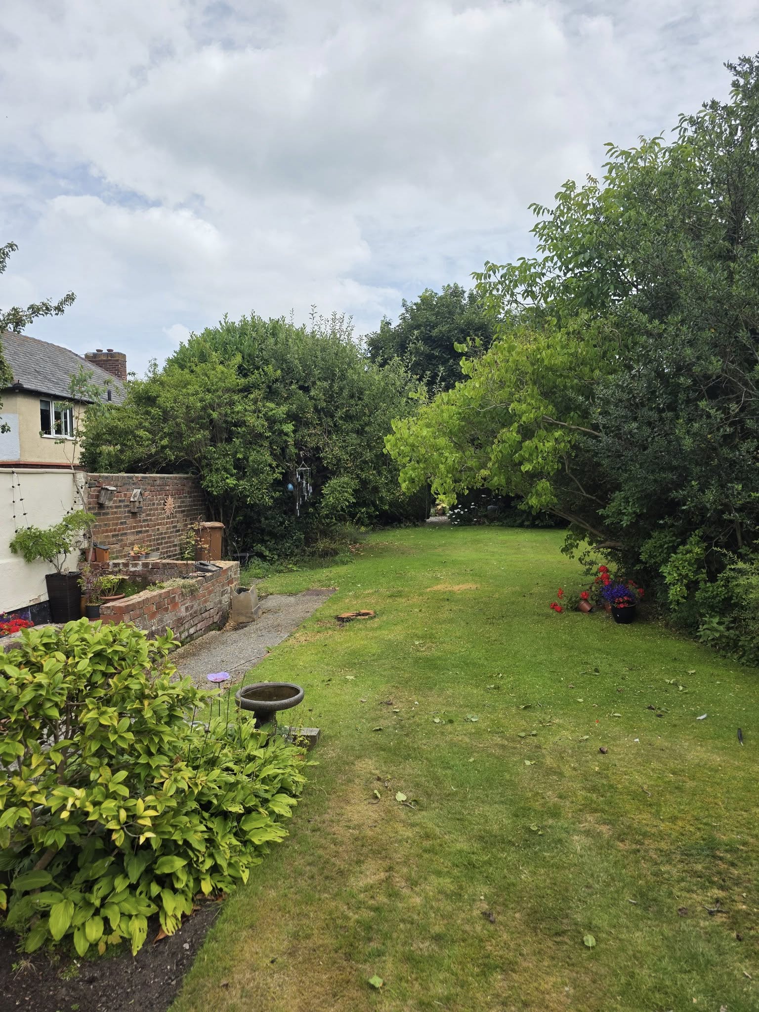 Lawn & Garden Care